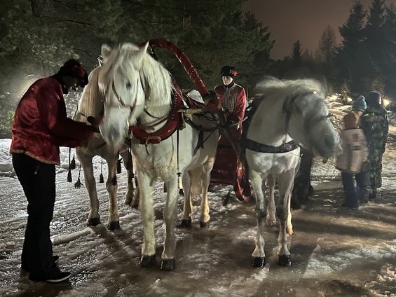 Катаемся на лошадках 1 января в Спас-Каменке